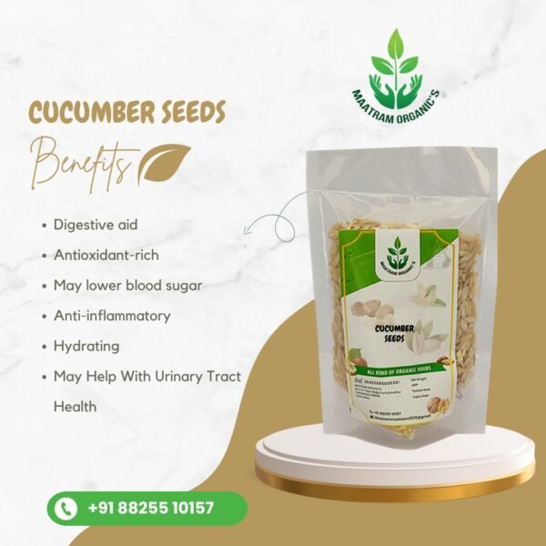 Cucumber Seeds-1KG - Image 2